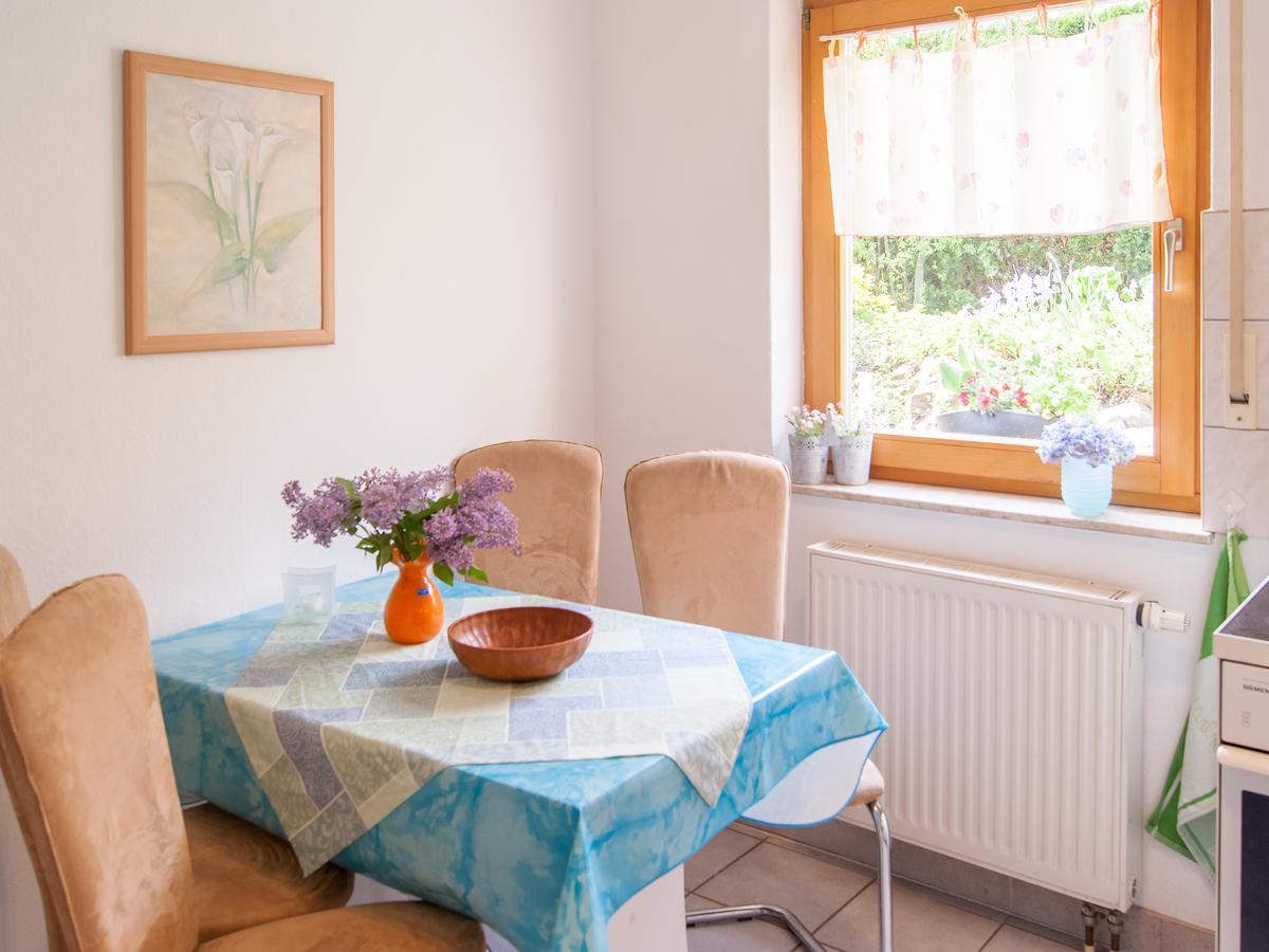 Ferienwohnung Ueber Den Daechern Von Drezda Kültér fotó